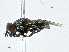  ( - CBG-A01187-E12)  @11 [ ] CreativeCommons - Attribution (2023) CBG Photography Group Centre for Biodiversity Genomics
