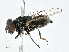  ( - CBG-A01187-F02)  @11 [ ] CreativeCommons - Attribution (2023) CBG Photography Group Centre for Biodiversity Genomics