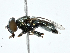  ( - CBG-A01187-H11)  @11 [ ] CreativeCommons - Attribution (2023) CBG Photography Group Centre for Biodiversity Genomics