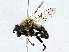  ( - CBG-A01240-F10)  @11 [ ] CreativeCommons - Attribution (2023) CBG Photography Group Centre for Biodiversity Genomics