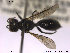  ( - NOSPH011)  @12 [ ] CreativeCommons - Attribution Non-Commercial Share-Alike (2013) Arnstein Staverlokk Norwegian Institute of Nature Research