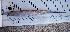  ( - NNP008)  @12 [ ] Unspecified (default): All Rights Reserved  Unspecified Unspecified