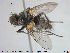  ( - NOTAC249)  @11 [ ] CreativeCommons - Attribution Non-Commercial Share-Alike (2015) NTNU University Museum, Department of Natural History NTNU University Museum, Department of Natural History