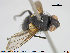 ( - NOTAC262)  @11 [ ] CreativeCommons - Attribution Non-Commercial Share-Alike (2015) NTNU University Museum, Department of Natural History NTNU University Museum, Department of Natural History