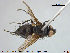  ( - NOTAC263)  @11 [ ] CreativeCommons - Attribution Non-Commercial Share-Alike (2015) NTNU University Museum, Department of Natural History NTNU University Museum, Department of Natural History