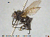  ( - NOTAC267)  @11 [ ] CreativeCommons - Attribution Non-Commercial Share-Alike (2015) NTNU University Museum, Department of Natural History NTNU University Museum, Department of Natural History