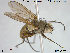  ( - NOTAC005)  @11 [ ] CreativeCommons - Attribution Non-Commercial Share-Alike (2015) NTNU University Museum, Department of Natural History NTNU University Museum, Department of Natural History