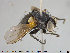  ( - NOTAC022)  @11 [ ] CreativeCommons - Attribution Non-Commercial Share-Alike (2015) NTNU University Museum, Department of Natural History NTNU University Museum, Department of Natural History