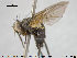  ( - NOTAC064)  @11 [ ] CreativeCommons - Attribution Non-Commercial Share-Alike (2015) NTNU University Museum, Department of Natural History NTNU University Museum, Department of Natural History