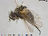  ( - NOTAC065)  @11 [ ] CreativeCommons - Attribution Non-Commercial Share-Alike (2015) NTNU University Museum, Department of Natural History NTNU University Museum, Department of Natural History