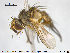  ( - NOTAC089)  @13 [ ] CreativeCommons - Attribution Non-Commercial Share-Alike (2015) NTNU University Museum, Department of Natural History NTNU University Museum, Department of Natural History