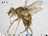  ( - NOTAC108)  @11 [ ] CreativeCommons - Attribution Non-Commercial Share-Alike (2015) NTNU University Museum, Department of Natural History NTNU University Museum, Department of Natural History