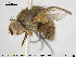  ( - NOTAC110)  @11 [ ] CreativeCommons - Attribution Non-Commercial Share-Alike (2015) NTNU University Museum, Department of Natural History NTNU University Museum, Department of Natural History