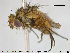  ( - NOTAC111)  @11 [ ] CreativeCommons - Attribution Non-Commercial Share-Alike (2015) NTNU University Museum, Department of Natural History NTNU University Museum, Department of Natural History