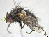 ( - NOTAC113)  @11 [ ] CreativeCommons - Attribution Non-Commercial Share-Alike (2015) NTNU University Museum, Department of Natural History NTNU University Museum, Department of Natural History