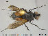  ( - NOTAC119)  @13 [ ] CreativeCommons - Attribution Non-Commercial Share-Alike (2015) NTNU University Museum, Department of Natural History NTNU University Museum, Department of Natural History