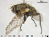  ( - NOTAC135)  @11 [ ] CreativeCommons - Attribution Non-Commercial Share-Alike (2015) NTNU University Museum, Department of Natural History NTNU University Museum, Department of Natural History