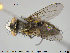  ( - NOTAC144)  @13 [ ] CreativeCommons - Attribution Non-Commercial Share-Alike (2015) NTNU University Museum, Department of Natural History NTNU University Museum, Department of Natural History