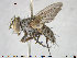  ( - NOTAC149)  @11 [ ] CreativeCommons - Attribution Non-Commercial Share-Alike (2015) NTNU University Museum, Department of Natural History NTNU University Museum, Department of Natural History