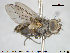  ( - NOTAC151)  @11 [ ] CreativeCommons - Attribution Non-Commercial Share-Alike (2015) NTNU University Museum, Department of Natural History NTNU University Museum, Department of Natural History