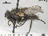  ( - NOTAC158)  @12 [ ] CreativeCommons - Attribution Non-Commercial Share-Alike (2015) NTNU University Museum, Department of Natural History NTNU University Museum, Department of Natural History