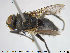  ( - NOTAC159)  @11 [ ] CreativeCommons - Attribution Non-Commercial Share-Alike (2015) NTNU University Museum, Department of Natural History NTNU University Museum, Department of Natural History