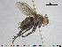  ( - NOTAC164)  @11 [ ] CreativeCommons - Attribution Non-Commercial Share-Alike (2015) NTNU University Museum, Department of Natural History NTNU University Museum, Department of Natural History