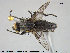  ( - NOTAC187)  @11 [ ] CreativeCommons - Attribution Non-Commercial Share-Alike (2015) NTNU University Museum, Department of Natural History NTNU University Museum, Department of Natural History