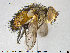  ( - NOTAC219)  @11 [ ] CreativeCommons - Attribution Non-Commercial Share-Alike (2015) NTNU University Museum, Department of Natural History NTNU University Museum, Department of Natural History