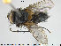  ( - NOTAC237)  @11 [ ] CreativeCommons - Attribution Non-Commercial Share-Alike (2015) NTNU University Museum, Department of Natural History NTNU University Museum, Department of Natural History