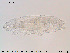  ( - Tard113)  @11 [ ] Creative Commons  Attribution Non-Commercial Share-Alike (2018) NTNU University Museum, Department of Natural History NTNU University Museum, Department of Natural History