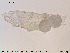  ( - Tard97)  @11 [ ] Creative Commons  Attribution Non-Commercial Share-Alike (2018) NTNU University Museum, Department of Natural History NTNU University Museum, Department of Natural History