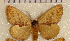  ( - pt036)  @13 [ ] Unspecified (default): All Rights Reserved  Unspecified Unspecified