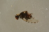  ( - GBOL17167)  @11 [ ] CreativeCommons - Attribution Non-Commercial Share-Alike (2015) Unspecified SNSB, Zoologische Staatssammlung Muenchen