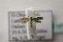  ( - BC ZSM Lep 107174)  @12 [ ] CreativeCommons - Attribution Non-Commercial Share-Alike (2019) SNSB, Staatliche Naturwissenschaftliche Sammlungen Bayerns ZSM (SNSB, Zoologische Staatssammlung Muenchen)
