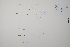  ( - CP0011468)  @11 [ ] CreativeCommons  Attribution Non-Commercial No Derivatives (2022) Herbarium C Natural History Museum of Denmark