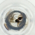  ( - MOZZ00000900A_D2)  @11 [ ] by  Genome Research Ltd as Wellcome Sanger Institute Genome Research Limited operating as Wellcome Sanger Institute