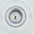 ( - MOZZ00000901A_E10)  @11 [ ] by  Genome Research Ltd as Wellcome Sanger Institute Genome Research Limited operating as Wellcome Sanger Institute