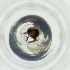  ( - MOZZ00000901A_E6)  @11 [ ] by  Genome Research Ltd as Wellcome Sanger Institute Genome Research Limited operating as Wellcome Sanger Institute