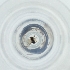  ( - MOZZ00000902A_D2)  @11 [ ] by  Genome Research Ltd as Wellcome Sanger Institute Genome Research Limited operating as Wellcome Sanger Institute