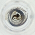  ( - MOZZ00000903A_E6)  @11 [ ] by  Genome Research Ltd as Wellcome Sanger Institute Genome Research Limited operating as Wellcome Sanger Institute