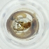  ( - MOZZ00000903A_F3)  @11 [ ] by  Genome Research Ltd as Wellcome Sanger Institute Genome Research Limited operating as Wellcome Sanger Institute
