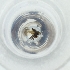  ( - MOZZ00000905A_B12)  @11 [ ] by  Genome Research Ltd as Wellcome Sanger Institute Genome Research Limited operating as Wellcome Sanger Institute