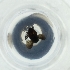  ( - MOZZ00000905A_D2)  @11 [ ] by  Genome Research Ltd as Wellcome Sanger Institute Genome Research Limited operating as Wellcome Sanger Institute