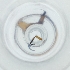  ( - MOZZ00000906A_A12)  @11 [ ] by  Genome Research Ltd as Wellcome Sanger Institute Genome Research Limited operating as Wellcome Sanger Institute