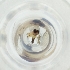  ( - MOZZ00000906A_B6)  @11 [ ] by  Genome Research Ltd as Wellcome Sanger Institute Genome Research Limited operating as Wellcome Sanger Institute