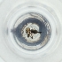  ( - MOZZ00000906A_E10)  @11 [ ] by  Genome Research Ltd as Wellcome Sanger Institute Genome Research Limited operating as Wellcome Sanger Institute