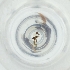  ( - MOZZ00000906A_F11)  @11 [ ] by  Genome Research Ltd as Wellcome Sanger Institute Genome Research Limited operating as Wellcome Sanger Institute