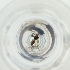  ( - MOZZ00000906A_F2)  @11 [ ] by  Genome Research Ltd as Wellcome Sanger Institute Genome Research Limited operating as Wellcome Sanger Institute