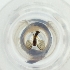  ( - MOZZ00000906A_G4)  @11 [ ] by  Genome Research Ltd as Wellcome Sanger Institute Genome Research Limited operating as Wellcome Sanger Institute
